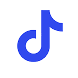 Tiktok Icon