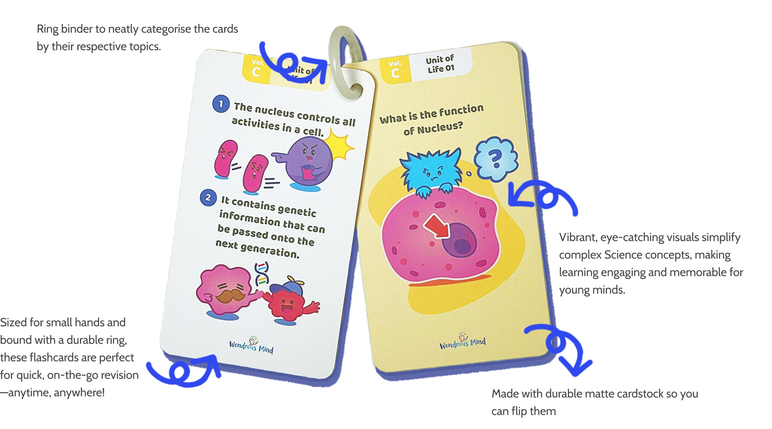 Science Flash Card Feature - Full