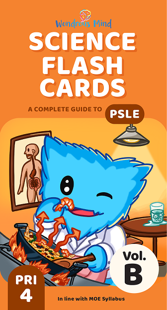 Science Flash Card Volume B