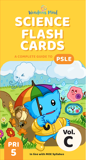 Science Flash Card Volume C