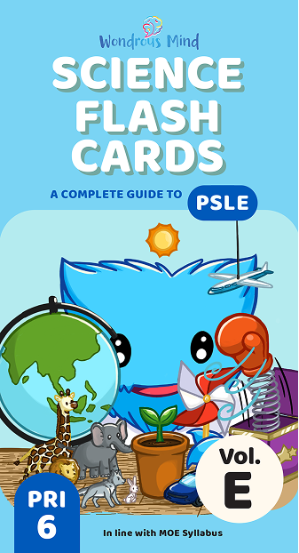 Science Flash Card Volume E