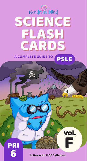 Science Flash Card Volume F